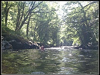 DSC 0247-border  Dart rivier bij Holne Bridge, wild zwemmen